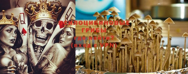 крисы Алексин