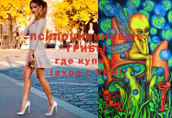 соль ск Алексеевка