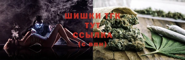 jwh Алзамай