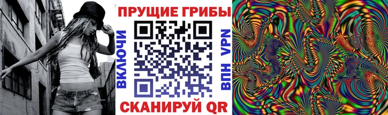 цена наркотик  Лабытнанги  Галлюциногенные грибы Psilocybe 